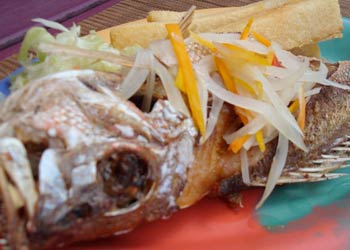 jamaican-food-caribbean-colorado-springs-flava